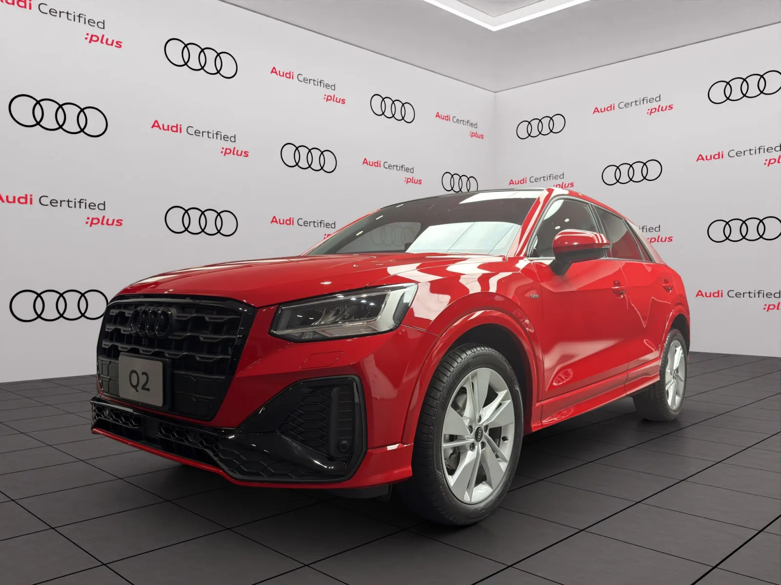 Imagen 5