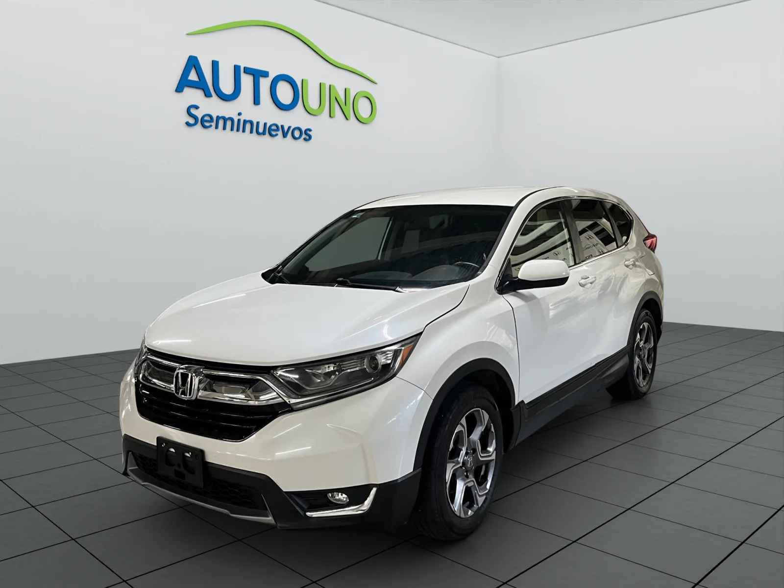 Imagen 5