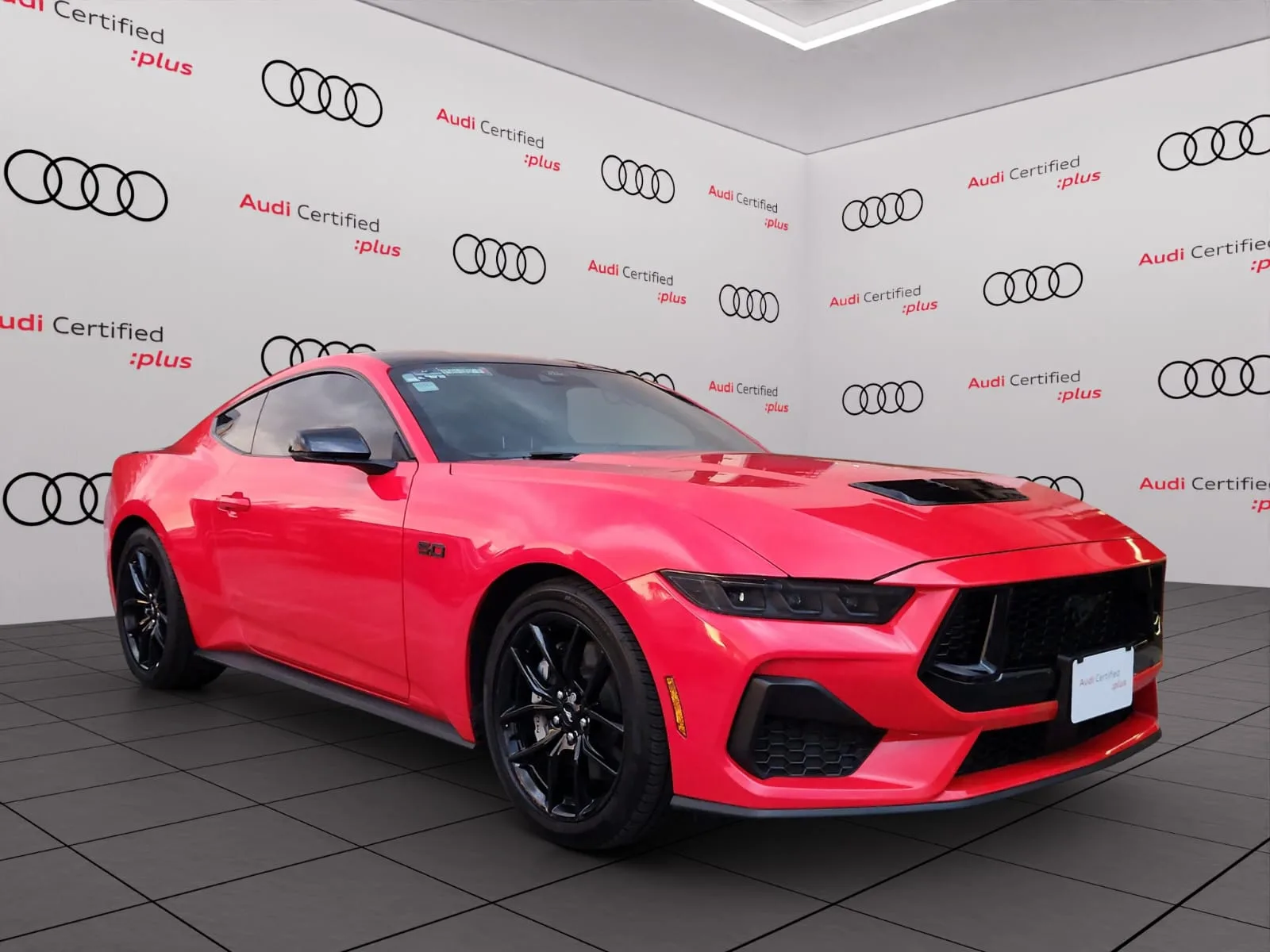 Mustang