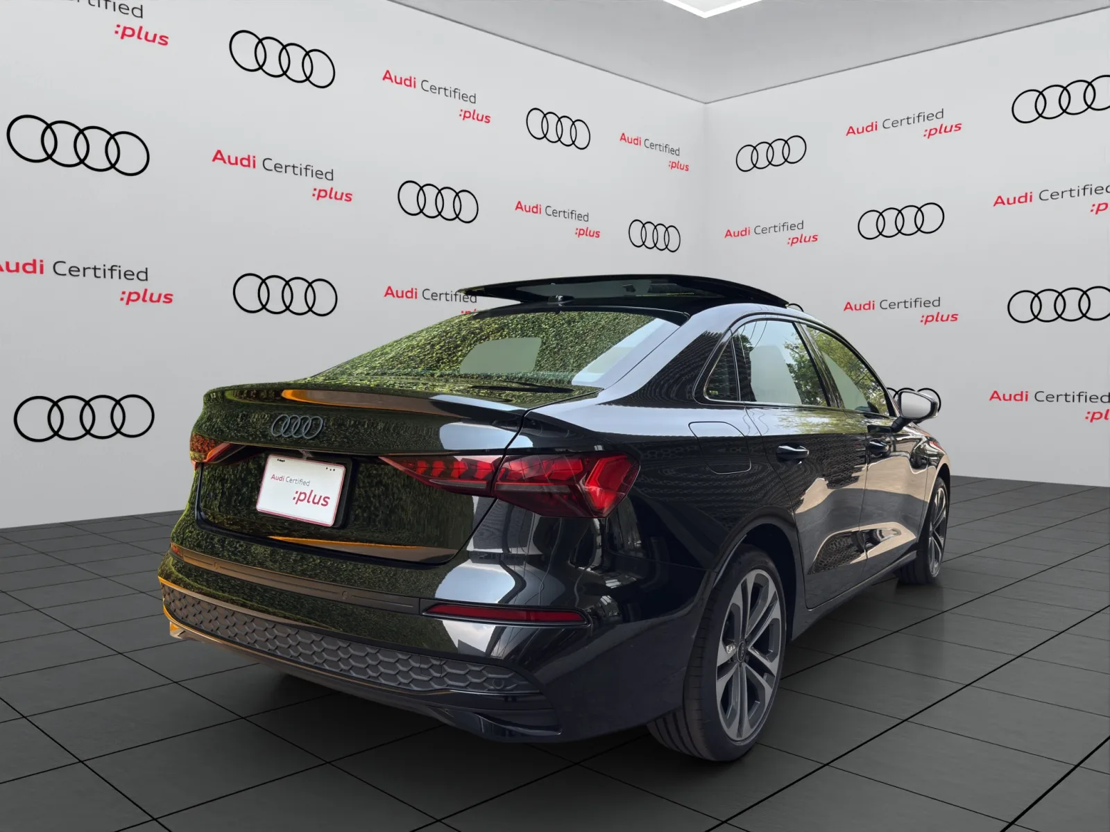 Imagen 5
