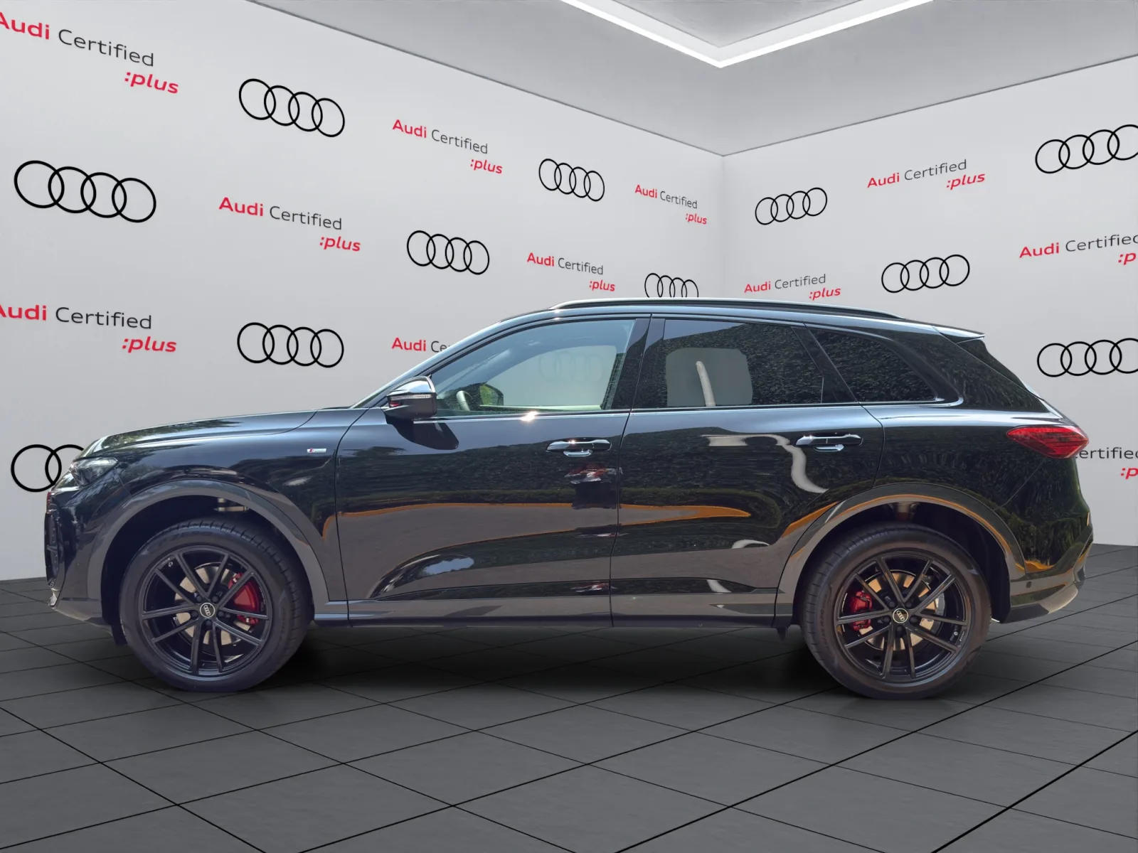 Imagen 13