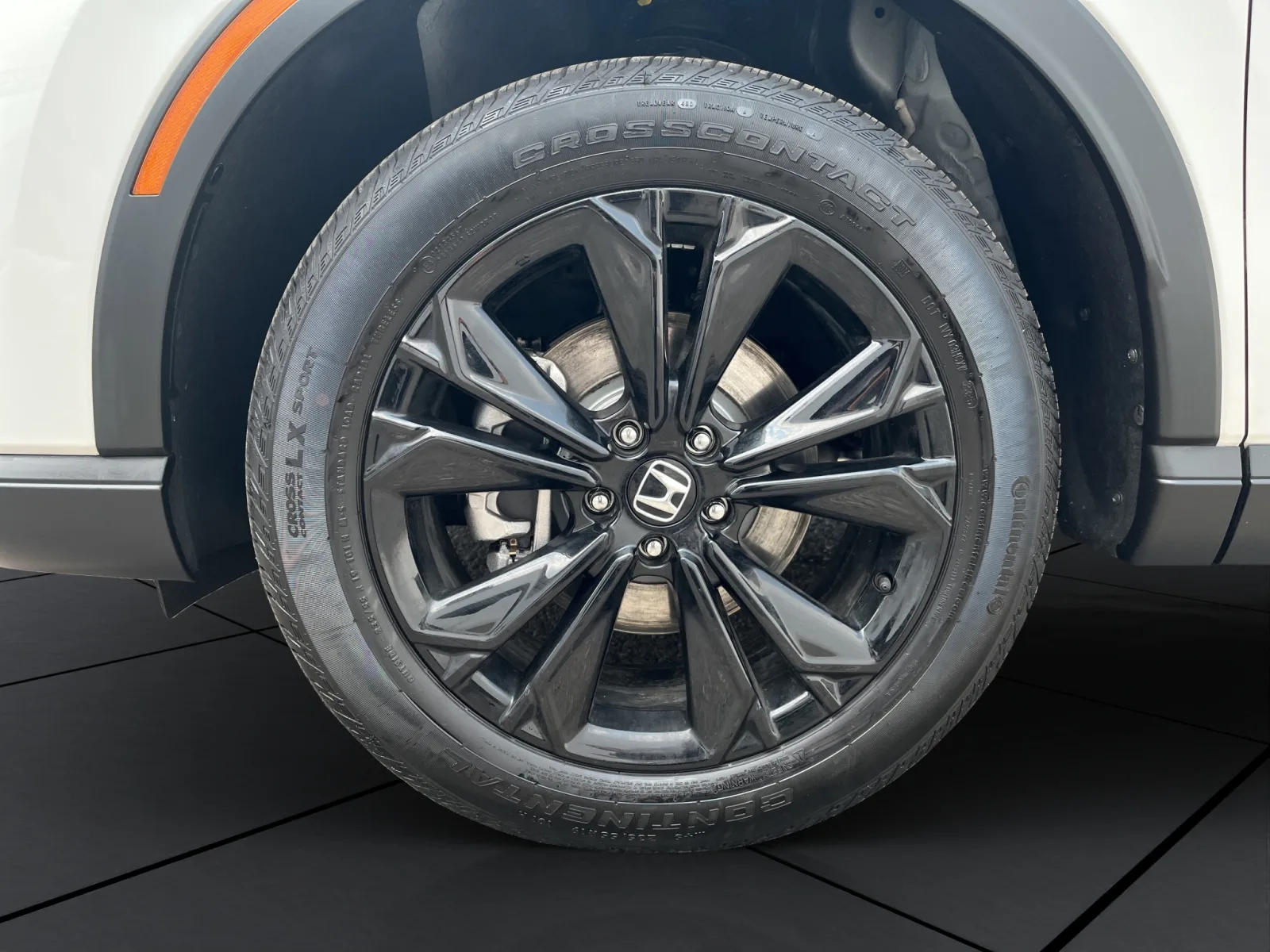 Imagen 29